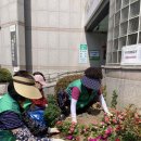 사창동행정복지센터 이미지