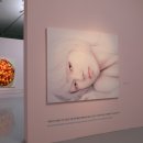 클레이아크김해 미술관 돔하우스 이미지