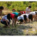 두꺼비상사 이미지