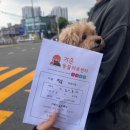 가온동물의료센터 이미지