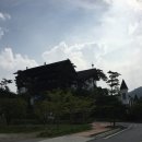 금오한방병원 Daum카페