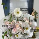 이일정보 이미지