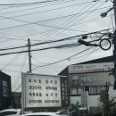 시골향기 파주점 이미지