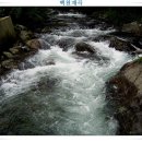 백천 Daum카페