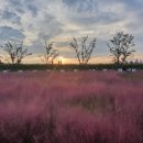 오카리나(중급반) 이미지