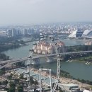 싱가포르 여행기(2) 이미지
