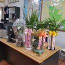 임광부동산공인중개사사무소 이미지