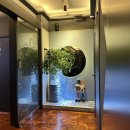 락노래타운 이미지