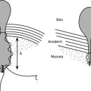 서울성모항정유외과의원 이미지