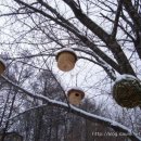 허브목장 이미지