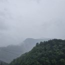 GS25 만수나래 | 익산철학관 봄비처럼 차분했던 개명