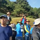 이백지 묘 이미지