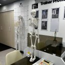 몸조아짐 피트니스 | 운동하기 좋은 범어동 헬스장 몸조아짐 범어점 헬스&amp;PT 방문후기