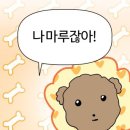 강쥐세상 이미지