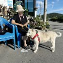 길순농장 이미지