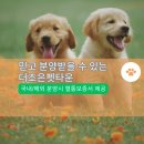 더조은펫 - 미추홀구 경인로 350-1 | 더조은펫