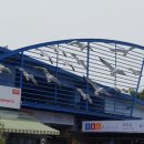 아쿠아 밸리 이미지