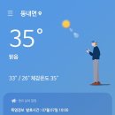시인의정원펜션 | 7월 여행 일기 | 약 2주만에 다시 가는데 (또) 먹으려고 가는 강원도 여행