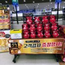수박 한통 만원에 구매 후기 / 농협 하나로 마트 수원점 할인행사 / 토요일 오전 모습 ^^