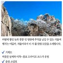 연인ㆍ친구ㆍ가족과 함께~ '국내 겨울여행지 베스트10' 이미지