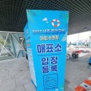 가운 중앙공원 | 세종 중앙공원 야외수영장 아기랑 다녀온 후기~