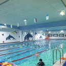 신우수영장 이미지