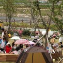 아라 휘트니스 이미지