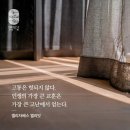 사무엘하 18:24 - 18:33아들의 죽음 앞에서 쏟은 회한의 통곡 이미지