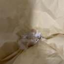 연안PC | [ 인천 맛집 ] 민영활어공장 아인병원점 실망후기