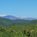 대운행정사 이미지