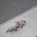 [내돈내산] 신논현역 채널플러스의원 지방분해주사 후기! 종아리/허벅지/복부 관리✨