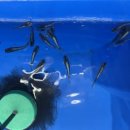 에스엔알(SNR) 이미지