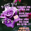 좋은글＞ 보랏빛 엽서'로 전하는 아침 첫 인사 이미지