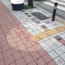 인생 설곰탕 꽃삼겹 이미지