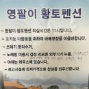 영팔이황토펜션