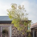 스테이소요 이미지