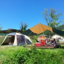 원골힐링캠프 | [44th 인제 자작나무힐링캠프] - 여름휴가캠핑