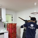 더컨테이너 스테이 | 스테이박스 보관이사 1차 솔직 후기 젊고 일 잘하는 30팀