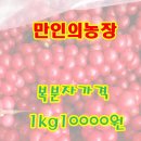 만인농장 이미지