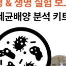에스제이(SJ)환경 | 세균이 자라는 환경, 직접 만들어볼까? (1) (with 예스 세균배양 분석키트 과학 교구)