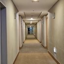 소노캄 제주 이스트타워 이미지