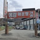 봉강매운탕