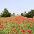 흥부네쉼터 이미지