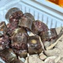 청년분식 부천 중동점 이미지