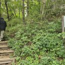 춘천 용화산 ~ 오봉산 이미지