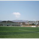 태백시청 이미지