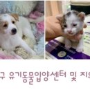 다남로165번길 이미지