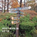 삼가-7 | 소백산 등산(천동~삼가)