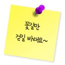 행컵 이미지