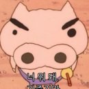 건강최고 이미지